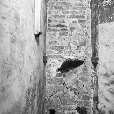 Rijksdienst voor het Cultureel Erfgoed: Delemarre, G.Th.