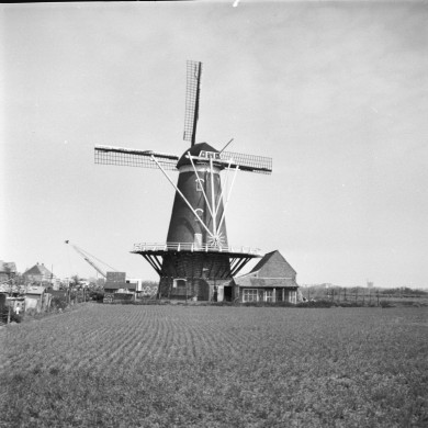 Rijksdienst voor het Cultureel Erfgoed: Poel, A.A. van der
