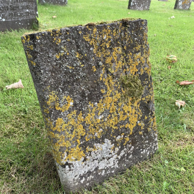 Rijksdienst voor het Cultureel Erfgoed: Bogers, Guido