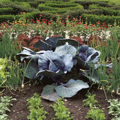 Rijksdienst voor het Cultureel Erfgoed: Heuff M. (Marijke)