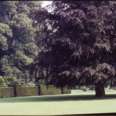 Rijksdienst voor het Cultureel Erfgoed: Heuff M. (Marijke)