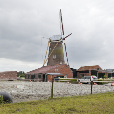 Rijksdienst voor het Cultureel Erfgoed: Booms, C.S. (Chris)