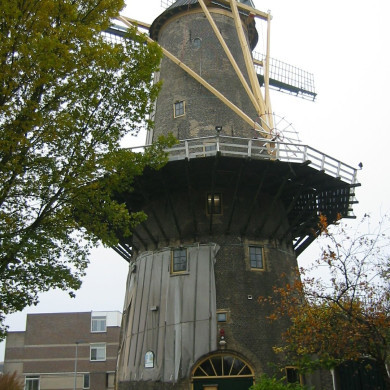 Rijksdienst voor het Cultureel Erfgoed: Terpstra, Frank