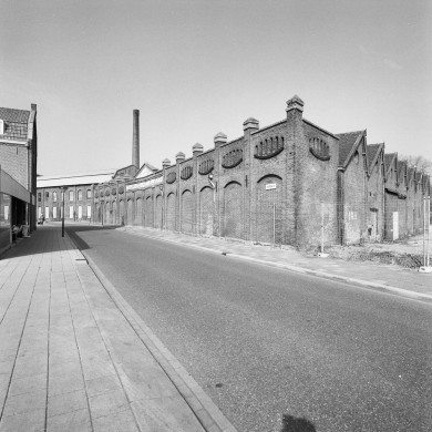 Rijksdienst voor het Cultureel Erfgoed: Heins, IJ.Th.