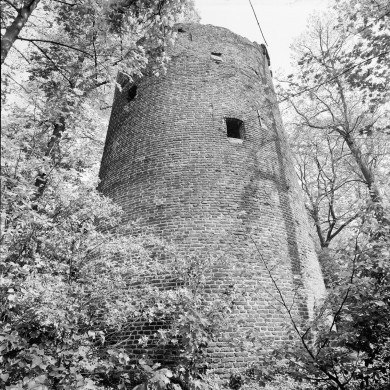 Rijksdienst voor het Cultureel Erfgoed: Galen, P. (Paul) van