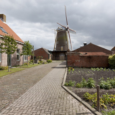 Rijksdienst voor het Cultureel Erfgoed: Booms, C.S. (Chris)