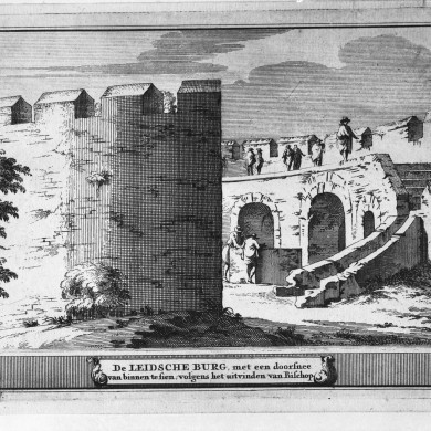 Rijksdienst voor het Cultureel Erfgoed: Delemarre, G.Th.