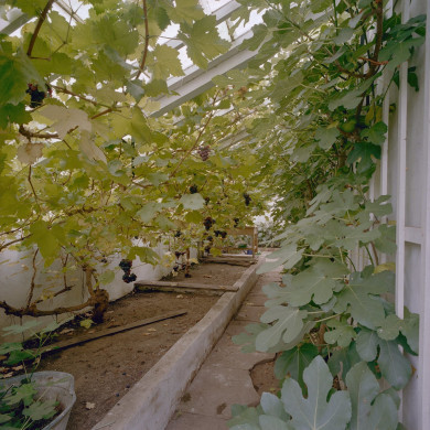 Rijksdienst voor het Cultureel Erfgoed: Heins, IJ.Th.