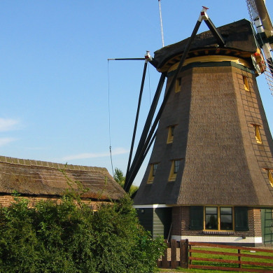 Rijksdienst voor het Cultureel Erfgoed: Terpstra, Frank