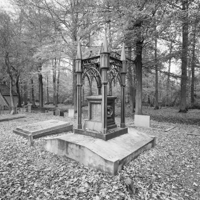 Rijksdienst voor het Cultureel Erfgoed: Koning, J.P. de