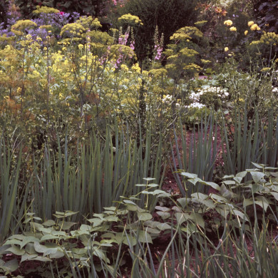 Rijksdienst voor het Cultureel Erfgoed: Heuff M. (Marijke)