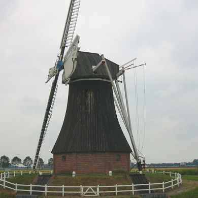 Rijksdienst voor het Cultureel Erfgoed: Terpstra, Frank