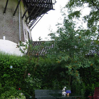 Rijksdienst voor het Cultureel Erfgoed: Terpstra, Frank