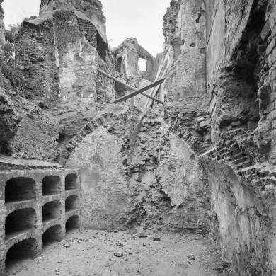 Rijksdienst voor het Cultureel Erfgoed: Delemarre, G.Th.