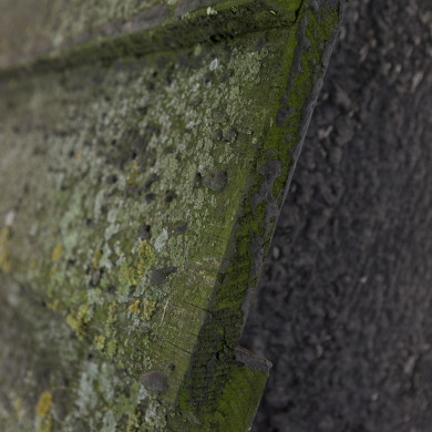 Rijksdienst voor het Cultureel Erfgoed: Roderburg, K. (Kris)