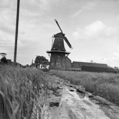 Rijksdienst voor het Cultureel Erfgoed: Dijkstra