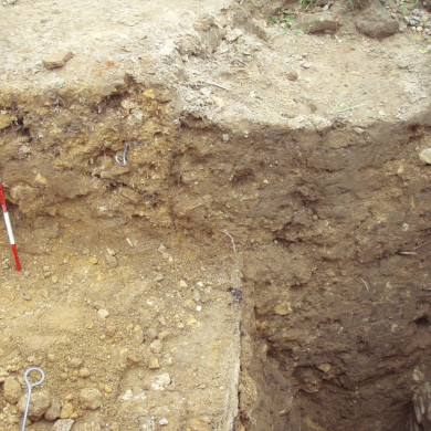 Rijksdienst voor het Cultureel Erfgoed