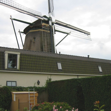 Rijksdienst voor het Cultureel Erfgoed: Terpstra, Frank