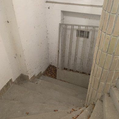 Rijksdienst voor het Cultureel Erfgoed: Bogers, Guido