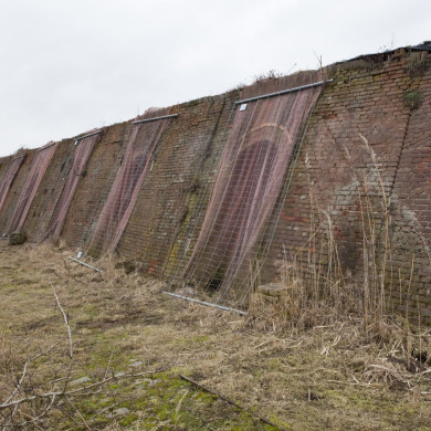 Rijksdienst voor het Cultureel Erfgoed: Booms, C.S. (Chris)