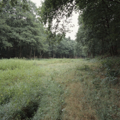 Rijksdienst voor het Cultureel Erfgoed: Roderburg, K. (Kris)