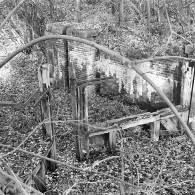 Rijksdienst voor het Cultureel Erfgoed: Tangel, L.M.