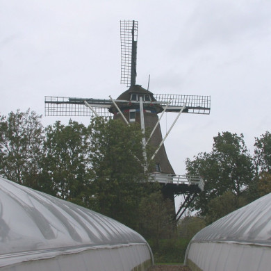 Rijksdienst voor het Cultureel Erfgoed: Terpstra, Frank
