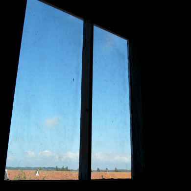 Rijksdienst voor het Cultureel Erfgoed: Bogers, Guido