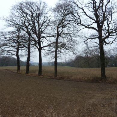 Rijksdienst voor het Cultureel Erfgoed: Lensvelt, Natascha