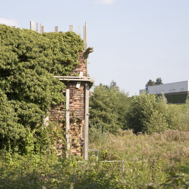 Rijksdienst voor het Cultureel Erfgoed