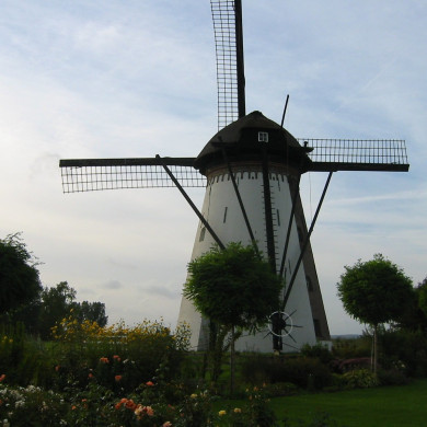 Rijksdienst voor het Cultureel Erfgoed: Terpstra, Frank