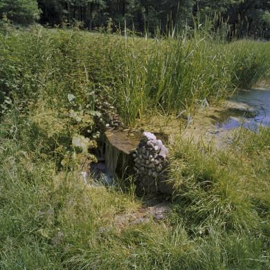 Rijksdienst voor het Cultureel Erfgoed: Wal, A.J. van der