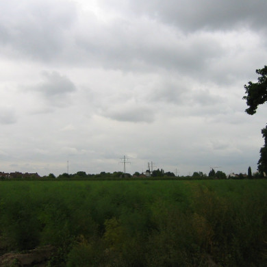 Rijksdienst voor het Cultureel Erfgoed: Terpstra, Frank