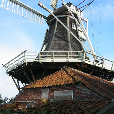 Rijksdienst voor het Cultureel Erfgoed: Terpstra, Frank