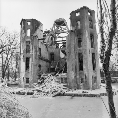 Rijksdienst voor het Cultureel Erfgoed: Schollen, T.