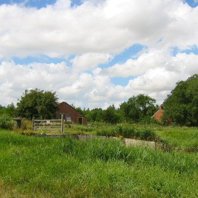 Rijksdienst voor het Cultureel Erfgoed: Terpstra, Frank