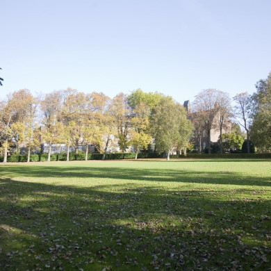 Rijksdienst voor het Cultureel Erfgoed: Technau, Sergé