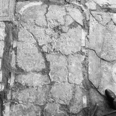 Rijksdienst voor het Cultureel Erfgoed: Delemarre, G.Th.