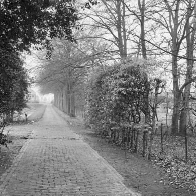 Rijksdienst voor het Cultureel Erfgoed: Wal, A.J. van der