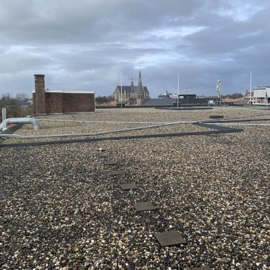 Rijksdienst voor het Cultureel Erfgoed: Bogers, Guido