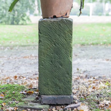 Rijksdienst voor het Cultureel Erfgoed: Sar, Wouter van der