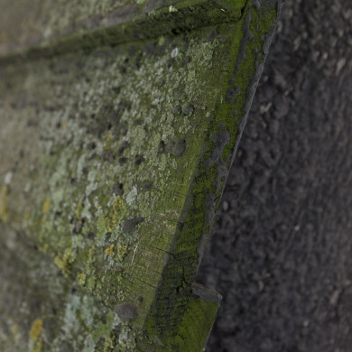 Rijksdienst voor het Cultureel Erfgoed: Roderburg, K. (Kris)