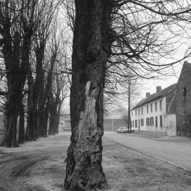 Rijksdienst voor het Cultureel Erfgoed: Delemarre, G.Th.