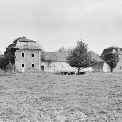 Rijksdienst voor het Cultureel Erfgoed: Galen, P. van