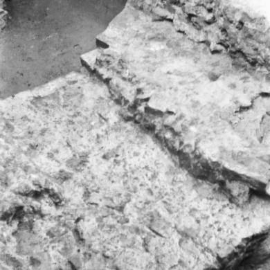 Rijksdienst voor het Cultureel Erfgoed