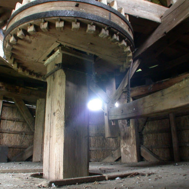 Rijksdienst voor het Cultureel Erfgoed: Terpstra, Frank