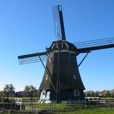 Rijksdienst voor het Cultureel Erfgoed: Terpstra, Frank