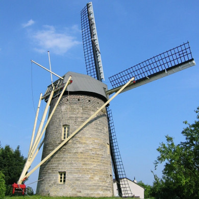 Rijksdienst voor het Cultureel Erfgoed: Terpstra, Frank