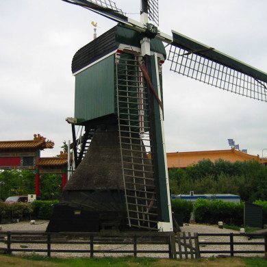 Rijksdienst voor het Cultureel Erfgoed: Terpstra, Frank