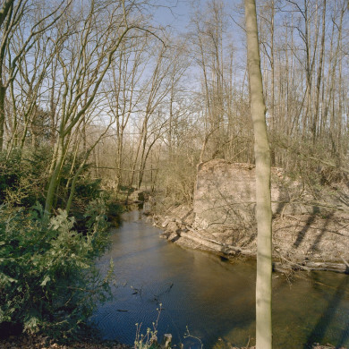 Rijksdienst voor het Cultureel Erfgoed: Heins, IJ.Th.
